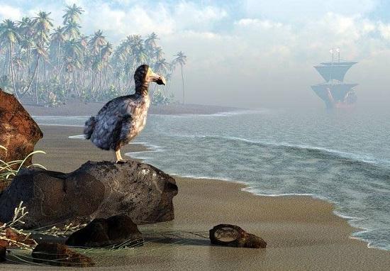 Нижегородский «Дронт» продолжит деятельность без государственной регистрации