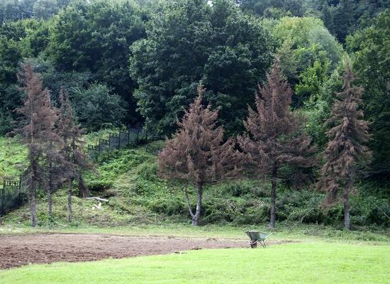 Муниципальную программу развития парков планируется принять в Нижнем Новгороде