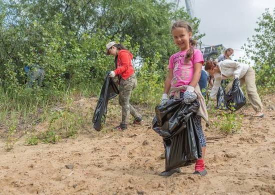 Общественных инспекторов планируется привлечь к экологическому контролю в Нижегородской области