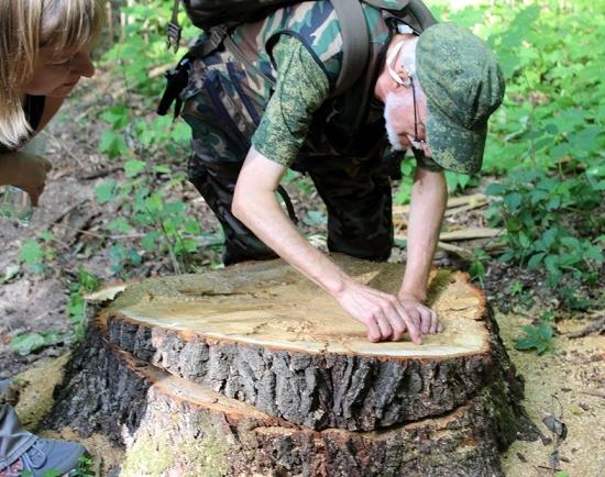 Оштрафован на 300 тыс. руб. подрядчик, нанятый для благоустройства Щелоковского хутора Нижнего Новгорода