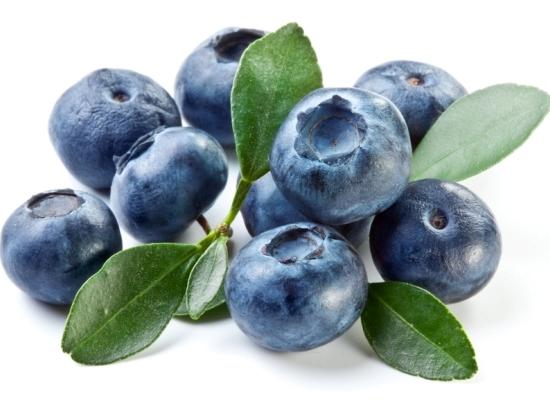 Первый урожай голубики ожидается к середине августа на ягодном производстве в Нижегородской области