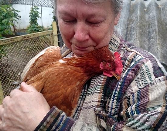 Еще один очаг птичьего гриппа локализован в Нижегородской области