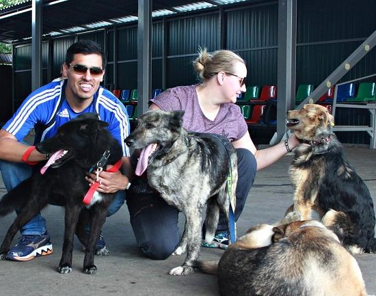Зоозащитники из Норвегии убедились, что безнадзорных собак и кошек в Нижнем Новгороде не убивают к ЧМ