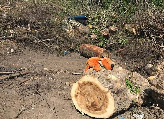 Чиновники обещают ликвидировать незаконный съезд к свалке, но не саму свалку в Нижнем Новгороде