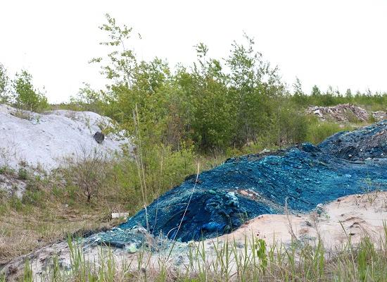 Глава Росприроднадзора РФ Сидоров назначил проверку по фактам нарушений при обращении с промотходами в Нижегородской области