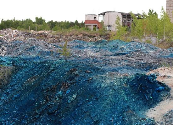 Стала известна главная задача, которую нижегородцы ставят перед новым министром экологии