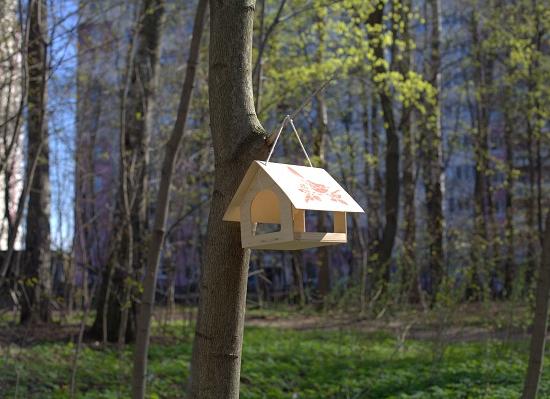 Парками и скверами в Нижнем Новгороде будет управлять специально созданная дирекция