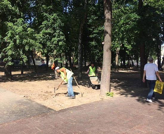 Благоустройством сквера имени 1905 года в Нижнем Новгороде занялся новый подрядчик