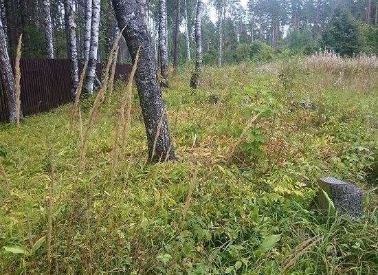 Получив от нижегородского правительства землю в Зеленом городе по полтора рубля за квадрат, фирма продала право аренды за 50 млн руб.