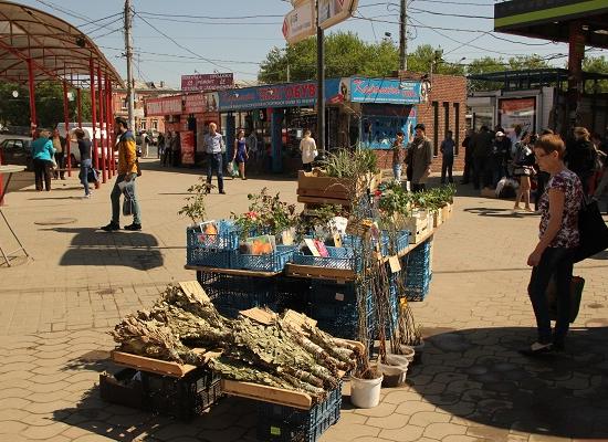 Продавца банных веников и рассады привлекли к ответственности в Нижнем Новгороде