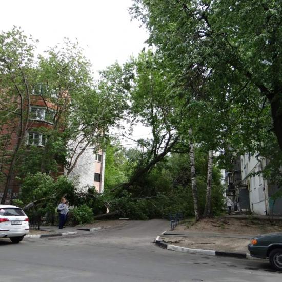 Ураганный ветер пронёсся по Нижнему Новгороду 