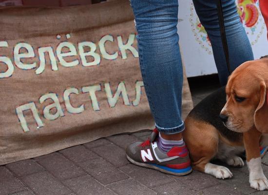 Новая методика расчета платы за торговые киоски и палатки утверждена в Нижнем Новгороде