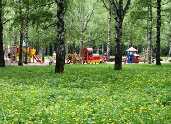 Стало известно, что нижегородцы запросили от властей для благоустройства парка им.Пушкина