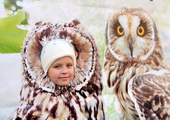 Более 4,5 тыс. нижегородцев уже подписались против застройки Волжской поймы