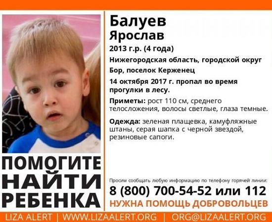 Возбуждено уголовное дело по факту исчезновения 4-летнего Ярослава Балуева в лесу Нижегородской области
