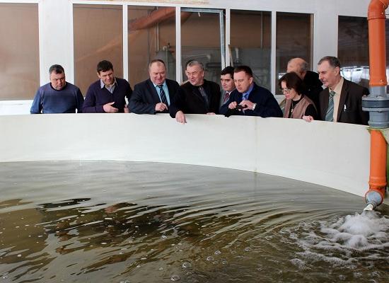 Производство рыбы планируется увеличить почти в 2,5 раза в Нижегородской области