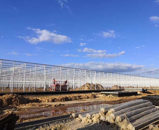 Тепличный комбинат «Нижегородский» строят на Бору Нижегородской области