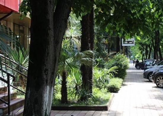 Администрация Кстовского района отказалась назвать лиц, пользовавшихся ее квартирами в Сочи