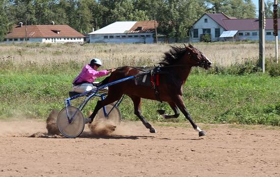 Ситуацию с нижегородским ипподромом обсудят в региональном правительстве