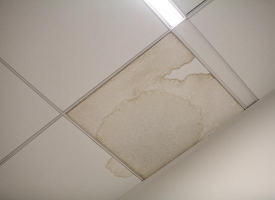 ФГУП «Спорт-Ин» объяснило причины потопа на стадионе в Нижнем Новгороде