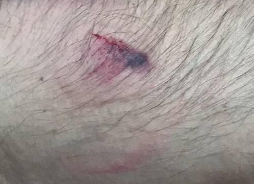 Не только тарифы, но и председатель кусаются в одном из ТСН Нижнего Новгорода